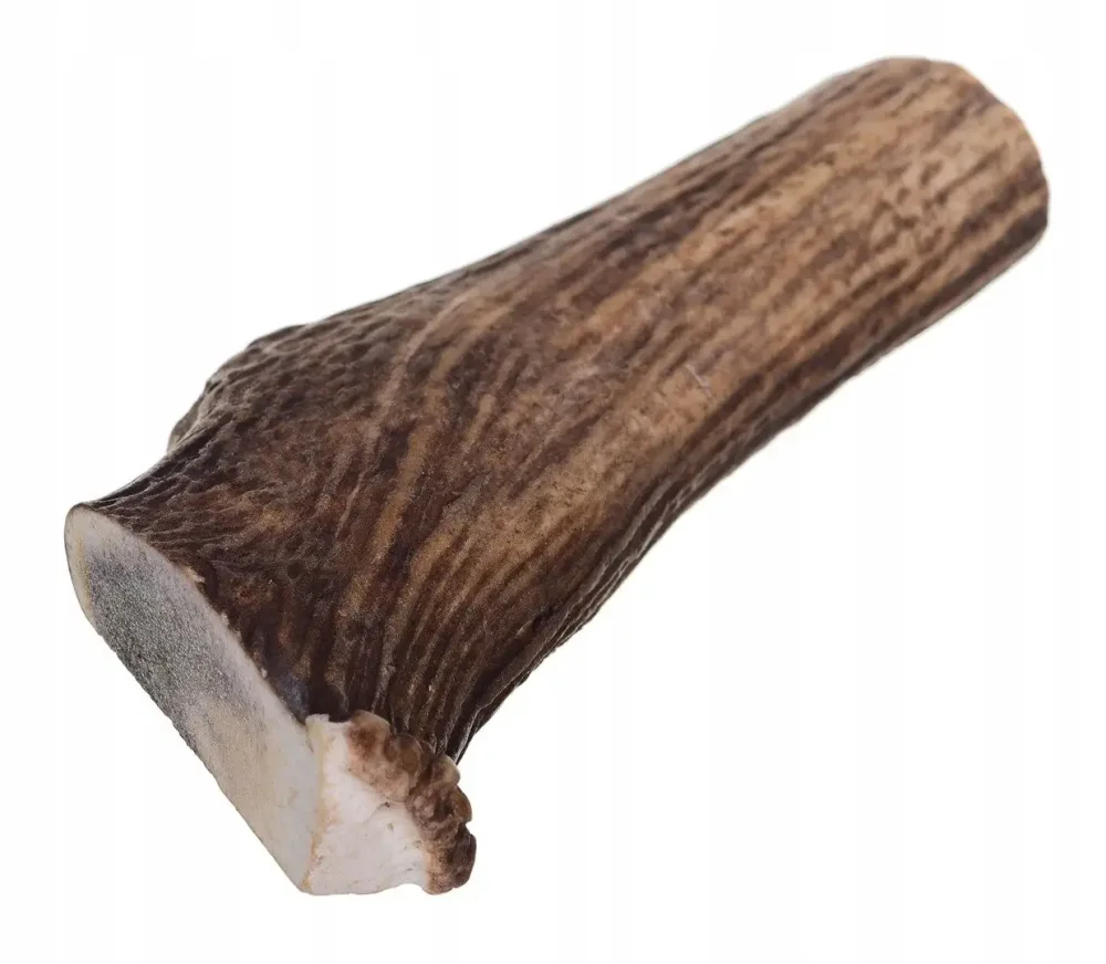 Jelení paroh (M)