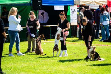 Happy Dog Show 2026: Charitativní svátek pro všechny milovníky psů