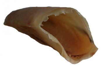 Hovädzie kopýtko duté - 1 ks