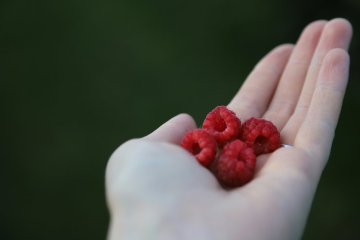 maliny maliny