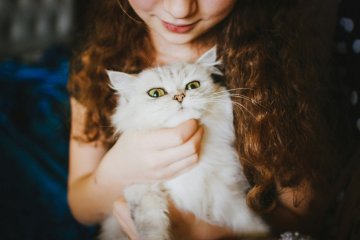 žena držící kočku žena držící kočku