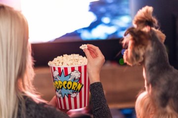 pes s popcornem