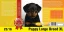 Puppy large Breed 25/16 - 4 kg