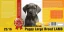 Puppy Large Breed Lamb 4 kg