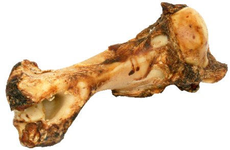 Kost sušená - 40 cm