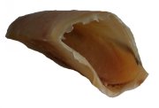 Hovädzie kopýtko duté - 1 ks